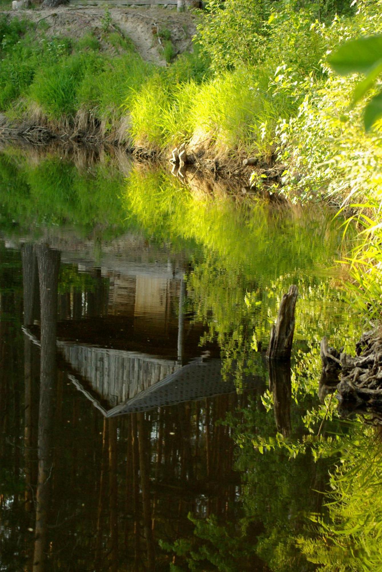 Kallaste Talu- Turismitalu & Holiday Resort Padise Dış mekan fotoğraf