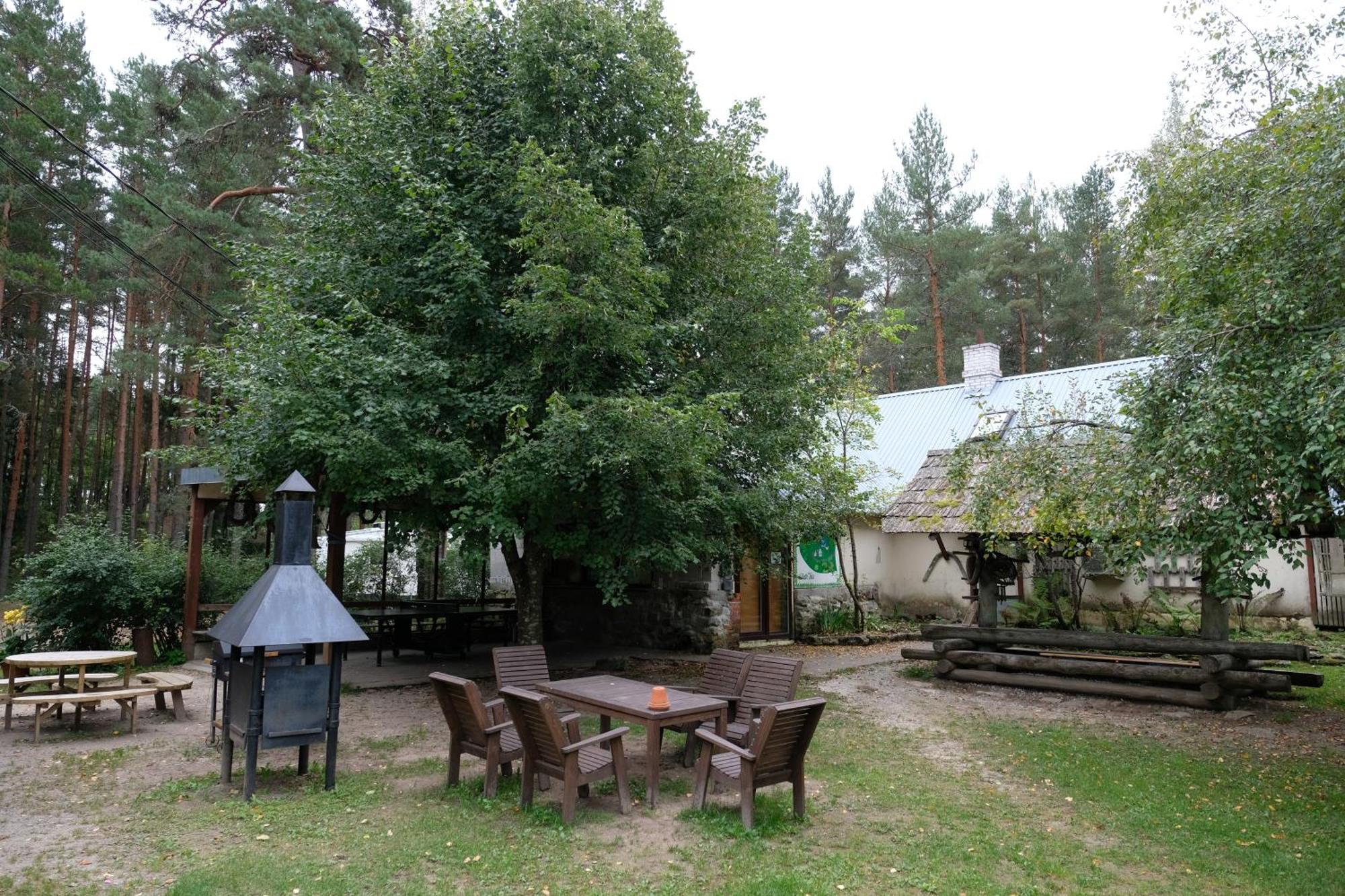 Kallaste Talu- Turismitalu & Holiday Resort Padise Dış mekan fotoğraf