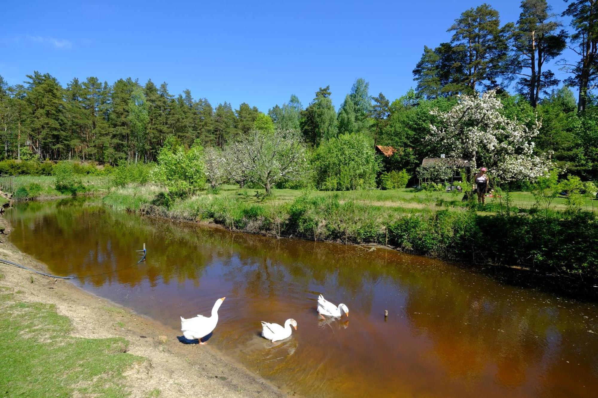 Kallaste Talu- Turismitalu & Holiday Resort Padise Dış mekan fotoğraf